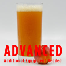 Load image into Gallery viewer, Funktional Fruit Sour All Grain Beer Recipe Kit