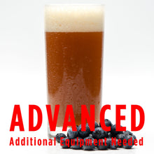 Load image into Gallery viewer, Funktional Fruit Sour All Grain Beer Recipe Kit