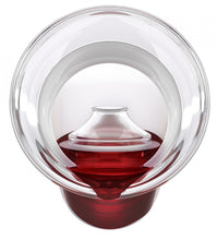 Load image into Gallery viewer, Savino Connoisseur Glass Wine Preservation Carafe