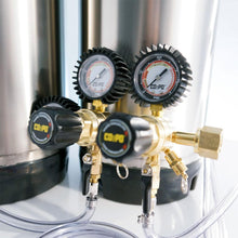 Load image into Gallery viewer, Home Brew Keg System w/ Two Cornelius (Corny) Ball Lock Kegs &amp; Two Pressure Regulator
