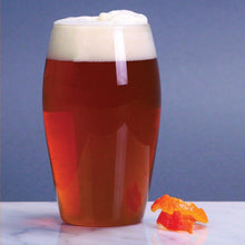 Load image into Gallery viewer, Grapefruit Pulpin All Grain Beer Recipe Kit

